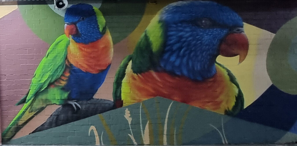 Rosella Maitland Riverside Plaza Carpark Maitland Street Art