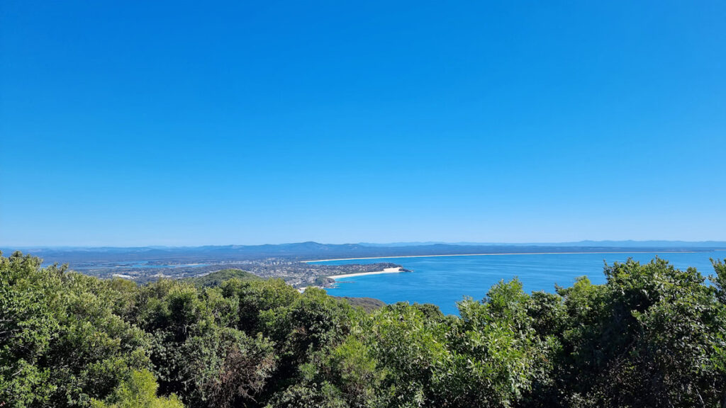 The view from the top of the lookout tower