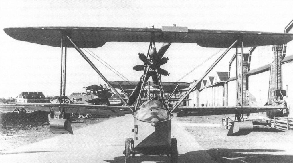 Hansa-Brandenburg W.20