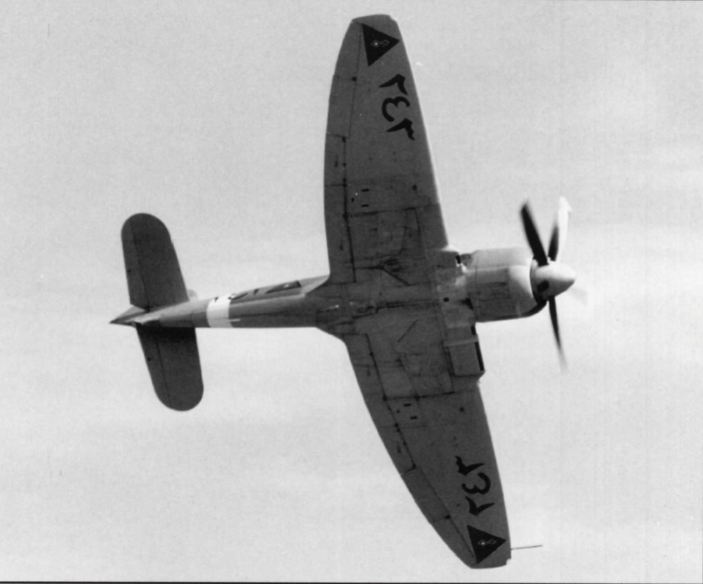 Iraqi Hawker Fury F.1