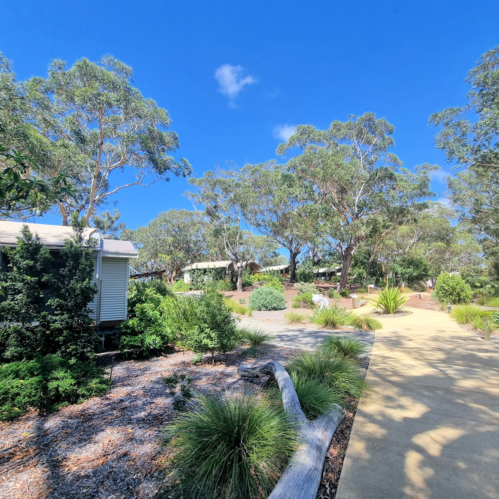 Accommodation at Port Stephens Koala Sanctuary