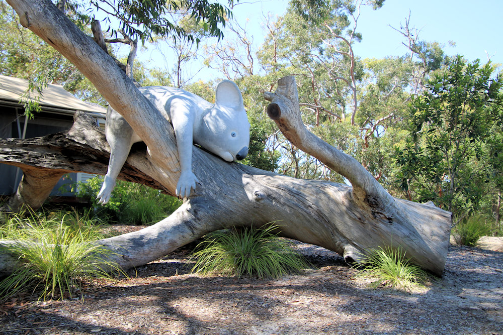 A Koala Statue