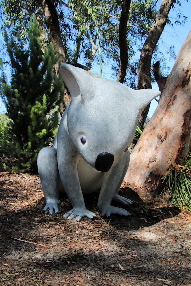 A Koala Statue