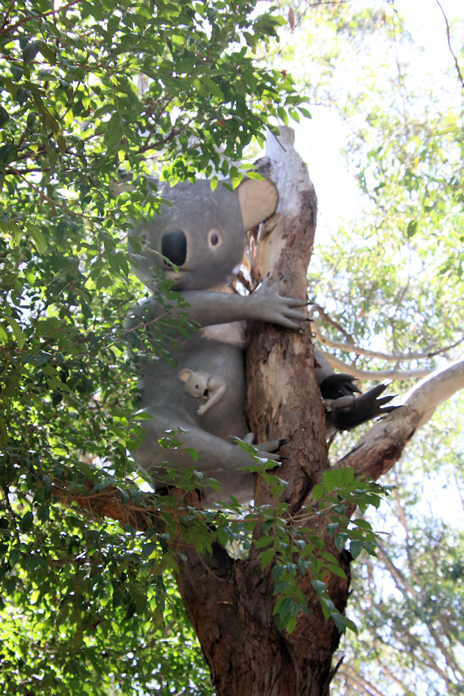 A Koala Statue