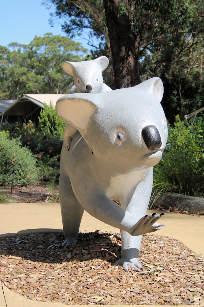 A Koala Statue