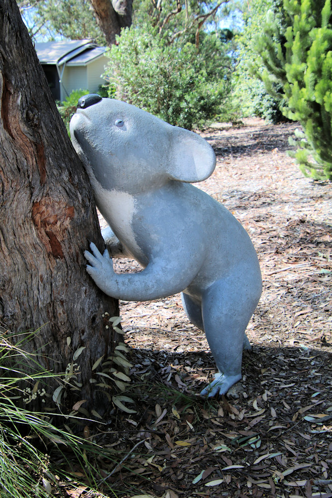 A Koala Statue