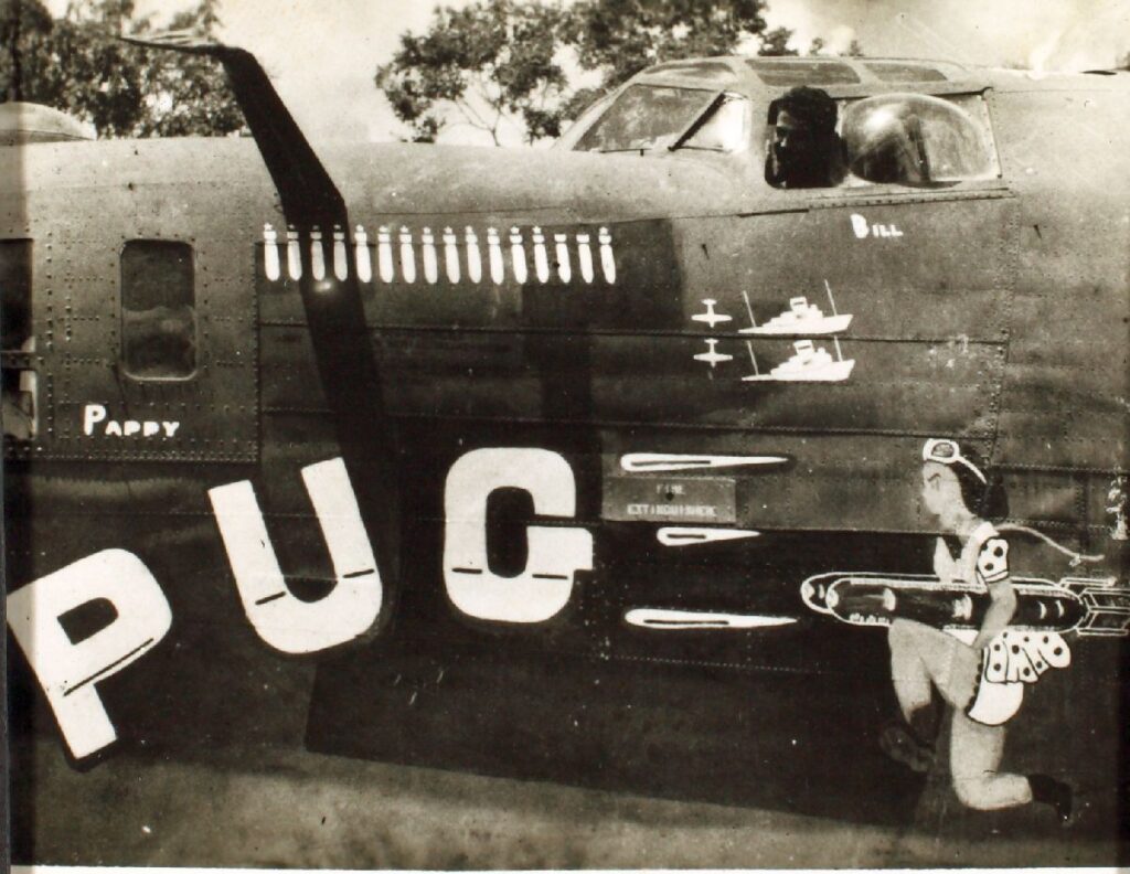 Consolidated B-24 Liberator Pug