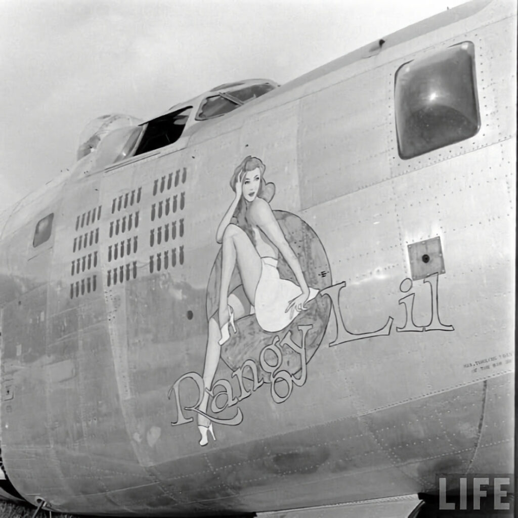 Consolidated B-24M-5-CO Liberator Rangy Lil s/n 44-41867 of the 529BS, 380BG, 5th AF