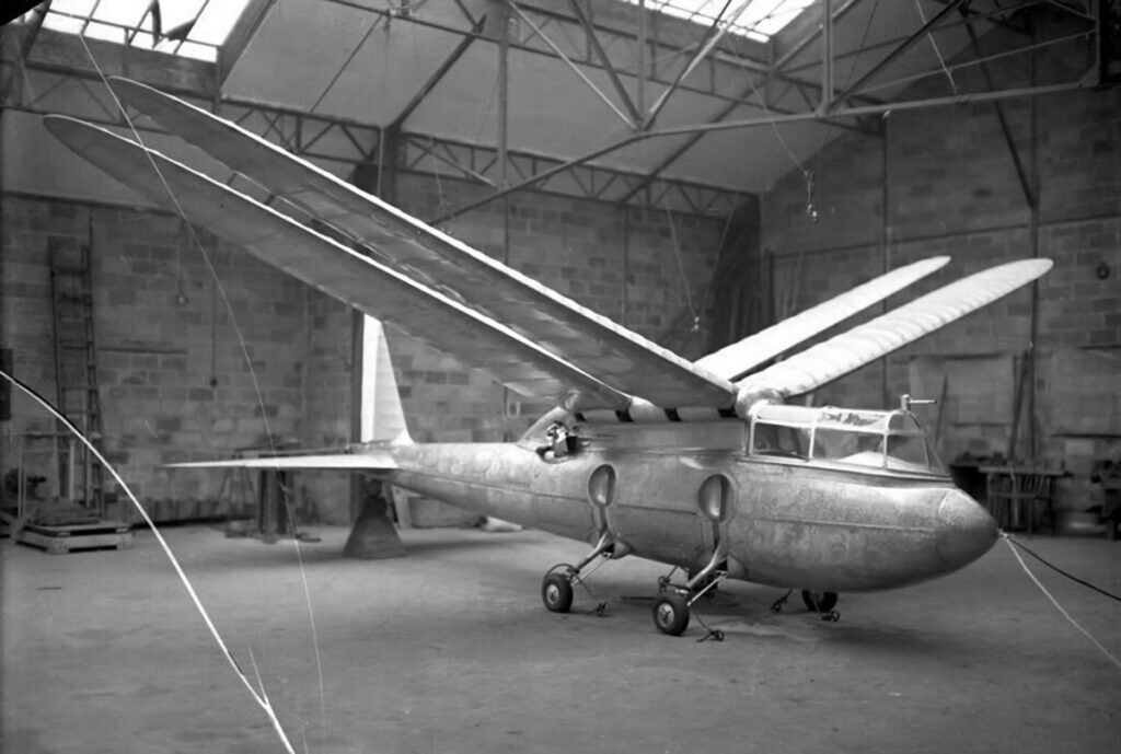 Riout 102T Alérion Ornithopter