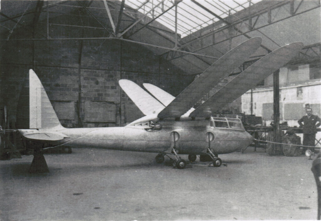 Riout 102T Alérion Ornithopter