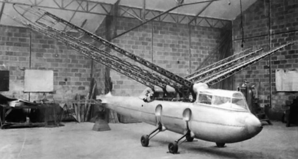 Riout 102T Alérion Ornithopter