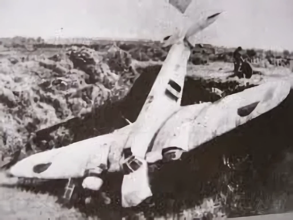 Bristol Blenheim Mk. IV re-engined with Nakajika Sakae. Operated by Indonesian Air Force around 1945