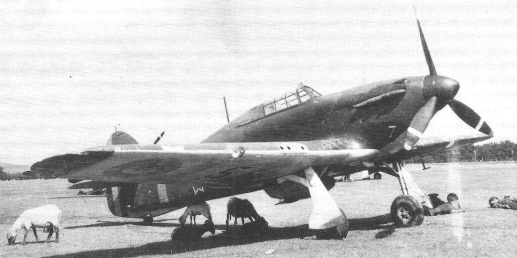 Romanian Hawker Hurricane