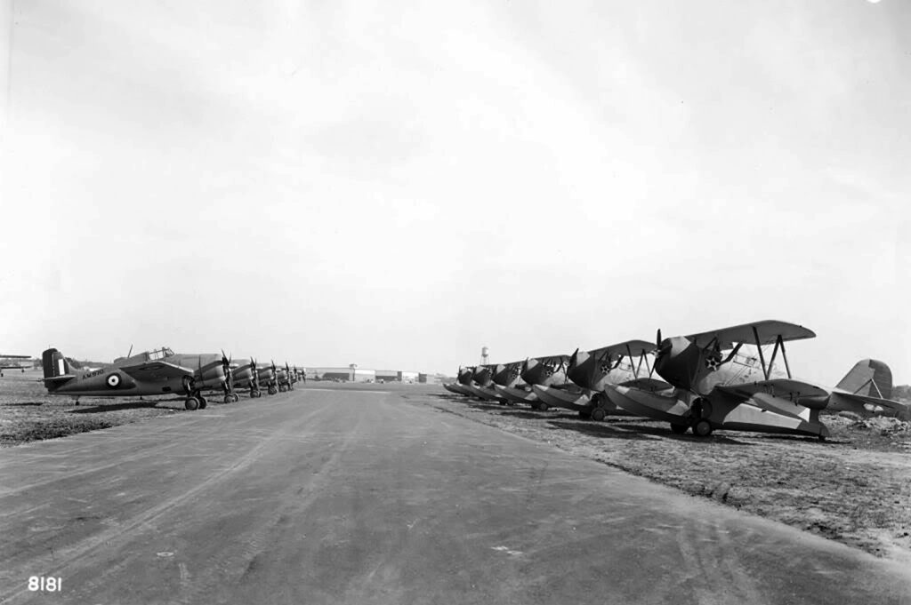 Grumman Wildcat Mk.II (F4F-3) AM970