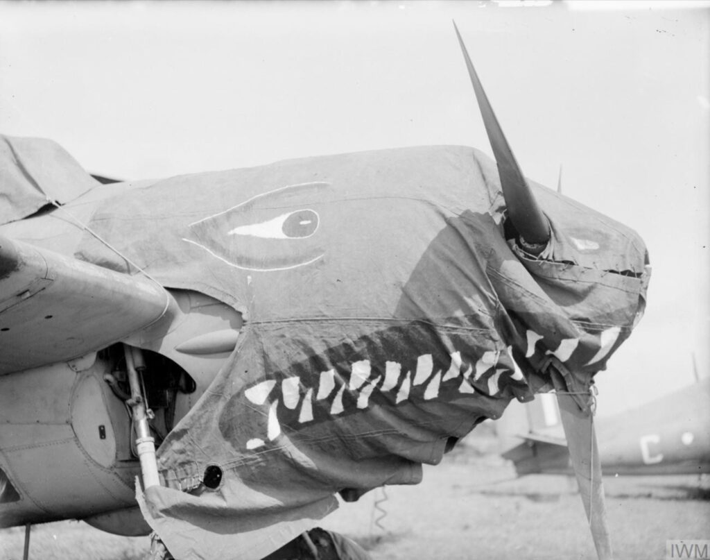 Grumman Martlet on an Eastern Fleet Aerodrome