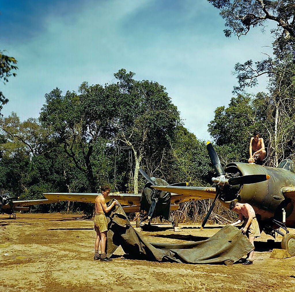 Grumman Martlets in SEAC camouflage Burma