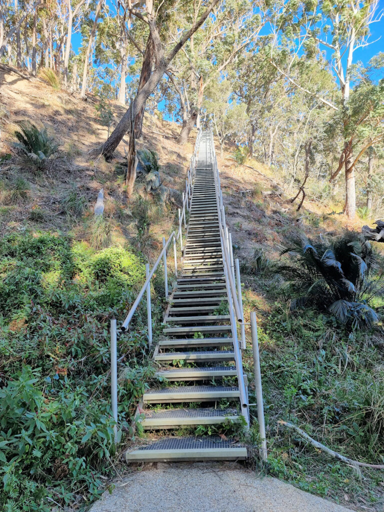 Stairs up to the start of the track Acheron Ledge walking track