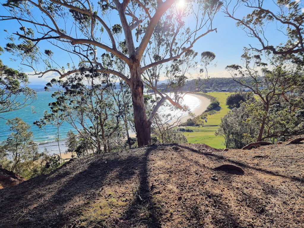 Maloneys Beach from the cliff top