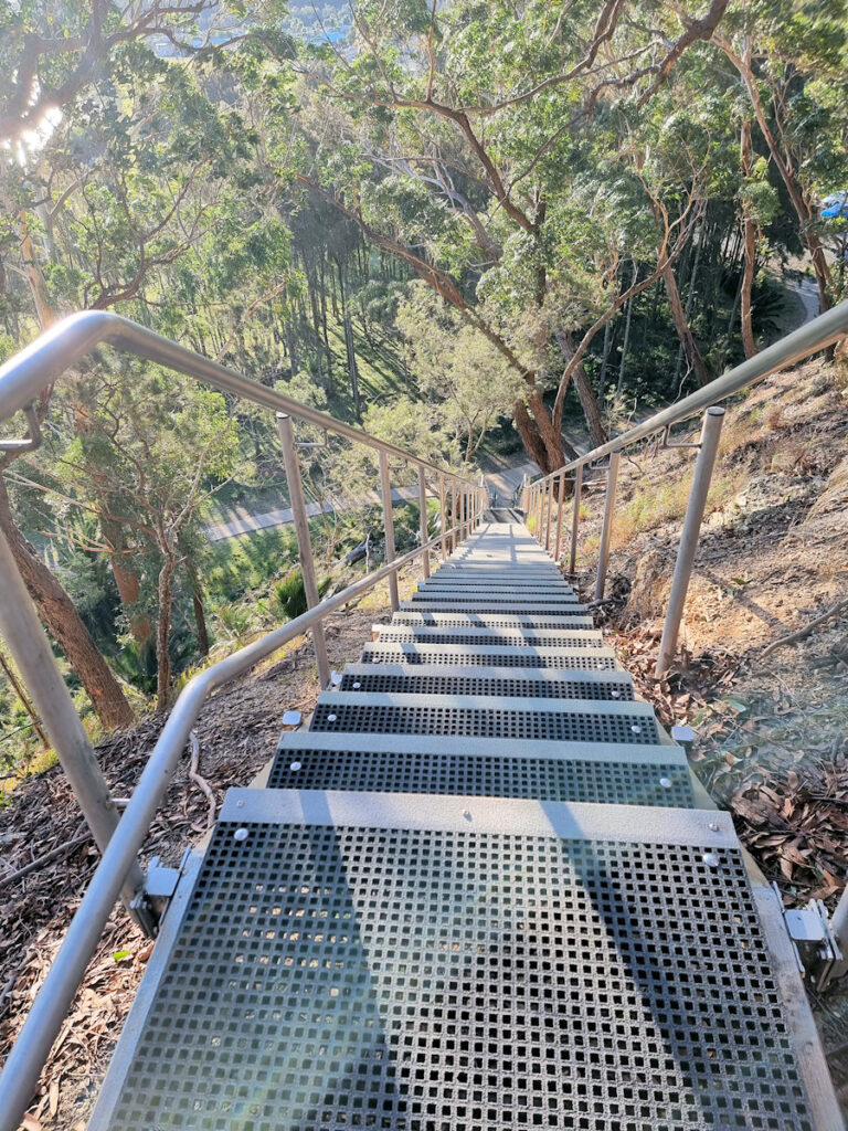 Looking down the stairs from the cliff top Acheron Ledge walking track