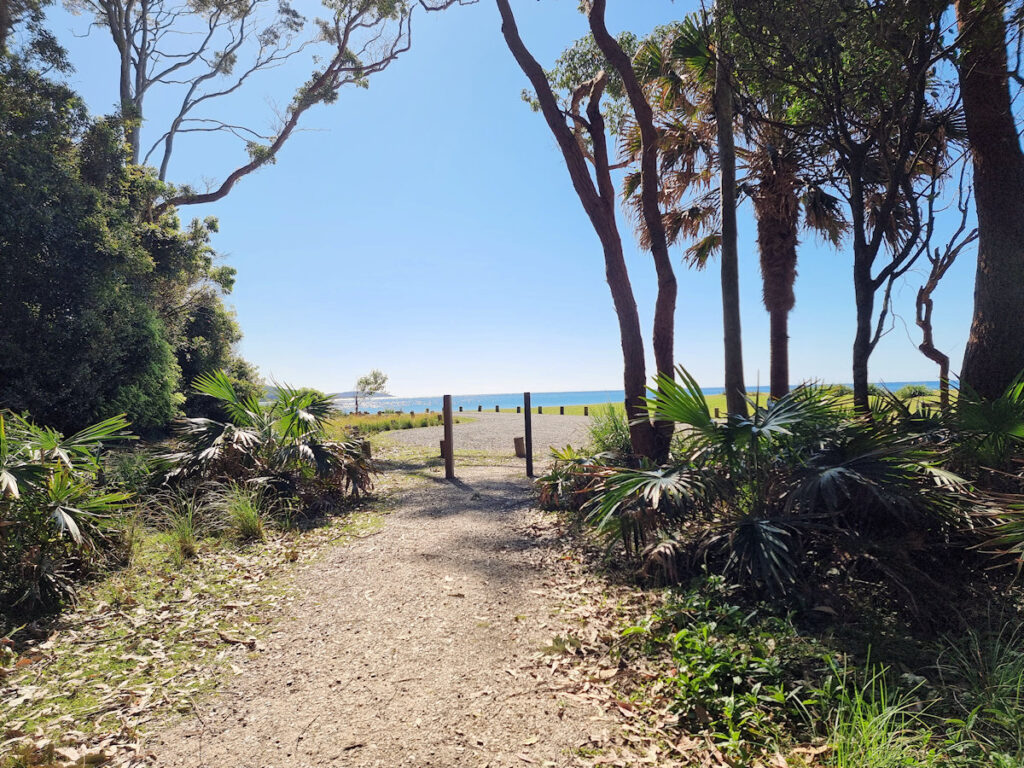 Start of the track at Depot Beach