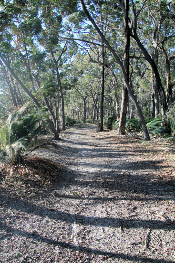 Acheron Ledge walking track