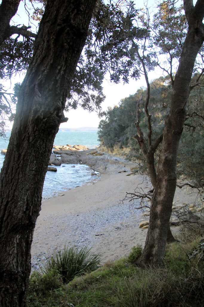 Reef Point Acheron Ledge walking track