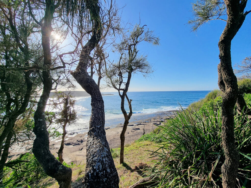 Looking over Wasp Head and out to Wasp Island