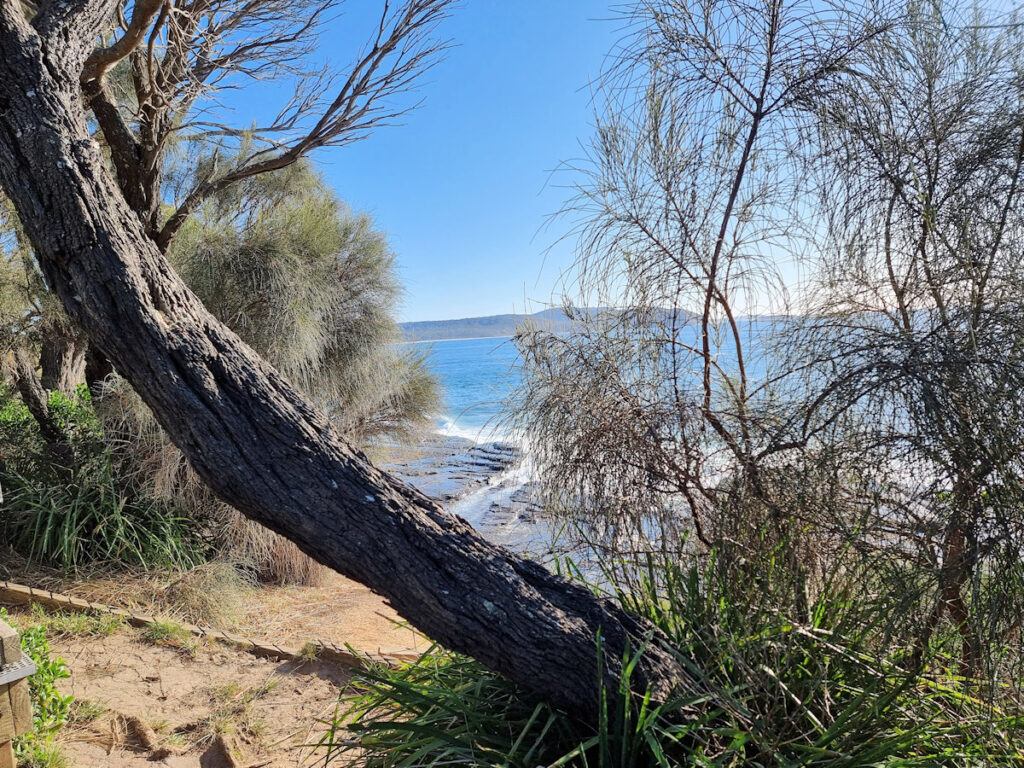 Looking over Wasp Head and out to Wasp Island