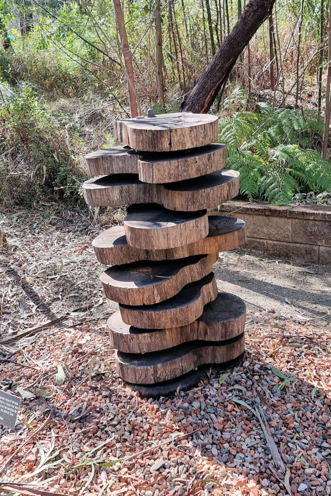 Sculpture using the trunk of a coastal grey box that was killed during the 2019/20 fires