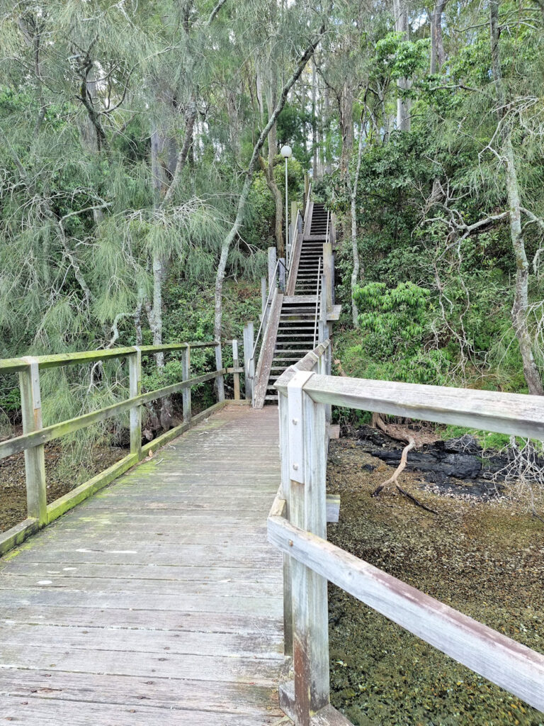 Steps leading up to Centenary Drive Mill Bay Boardwalk