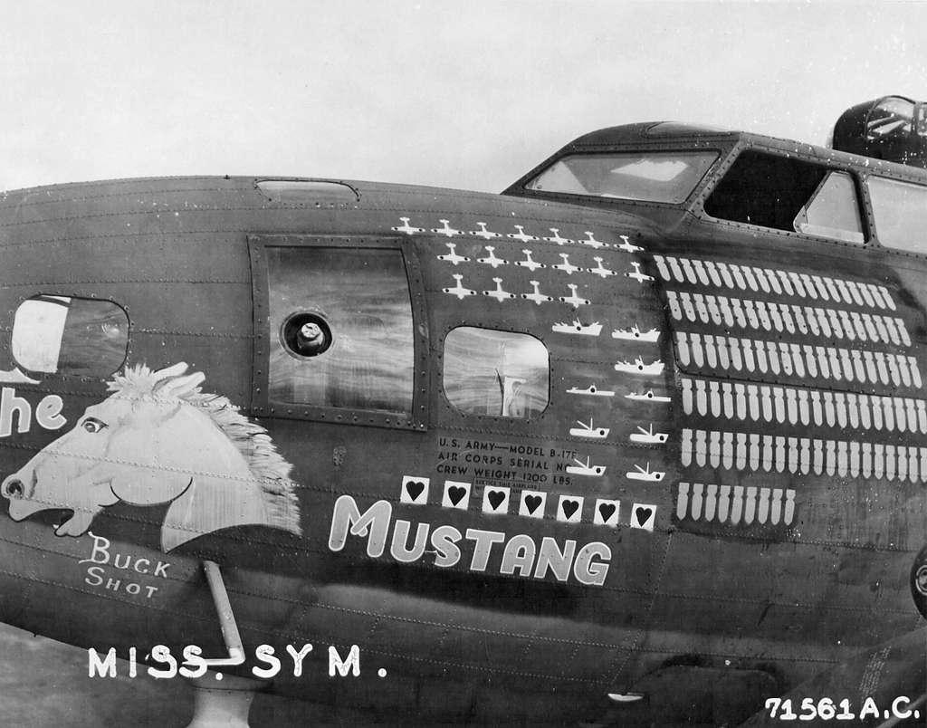 The Mustang B-17F-25-BO Flying Fortress 41-24554 New Guinea 63rd BS 43rd BG 1943