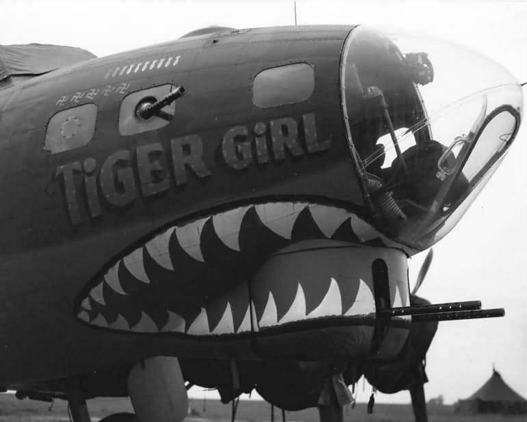 Boeing B-17 Tiger Girl of the 8th Air Force, 388th Bomb Group, 560th BS, England, Missing in Action Bremen 26/11/43 flak, crashed Stickgras, E of Delmenhorst, Ger 9 KIA 1 POW