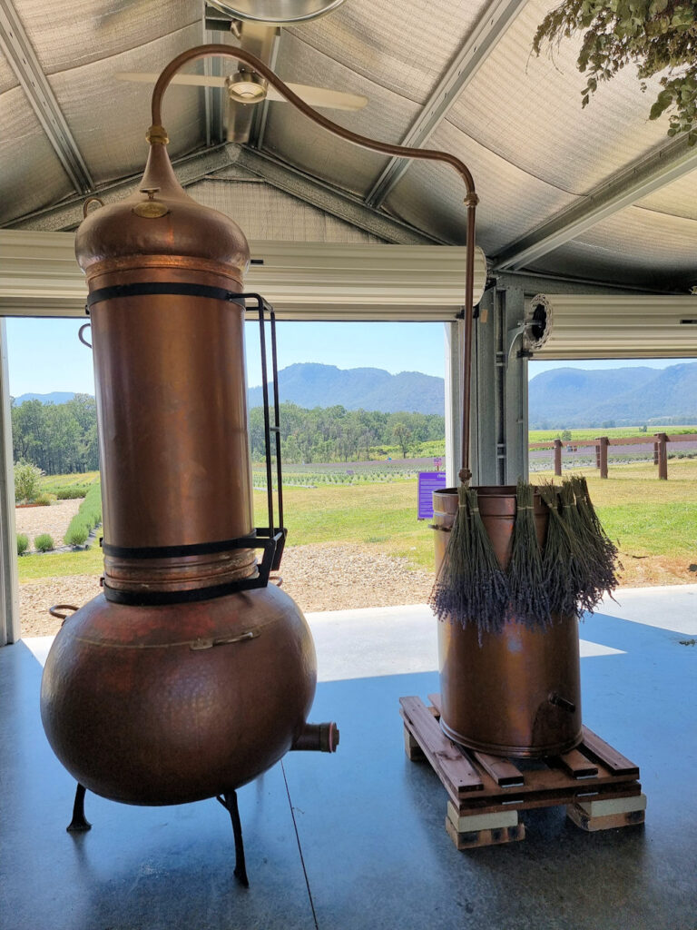 Lavender Distillery